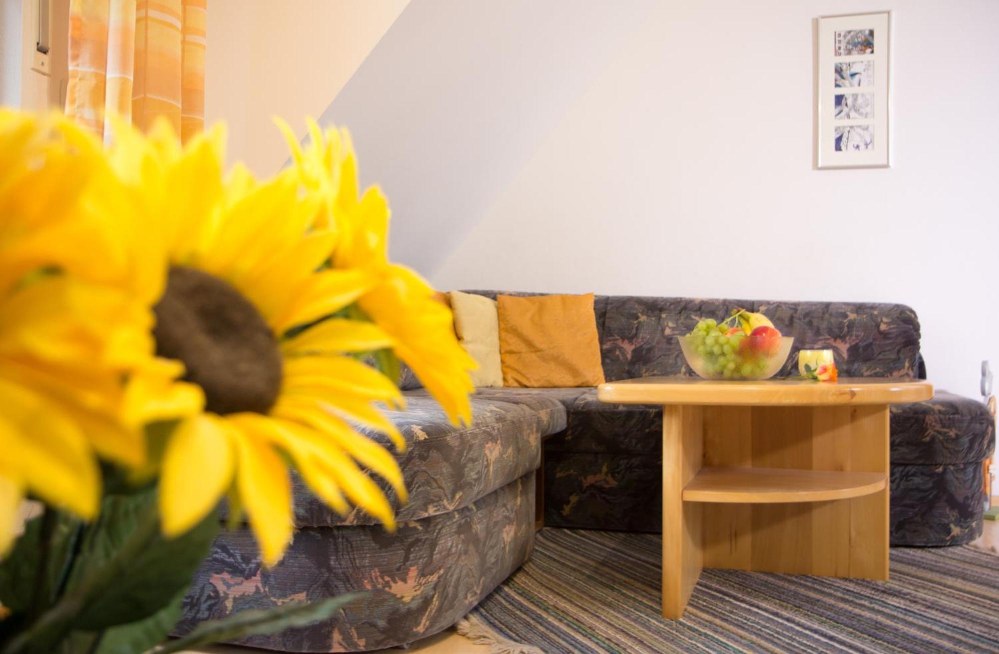 Ferienwohnung Am Sonnenhang Neualbenreuth Εξωτερικό φωτογραφία